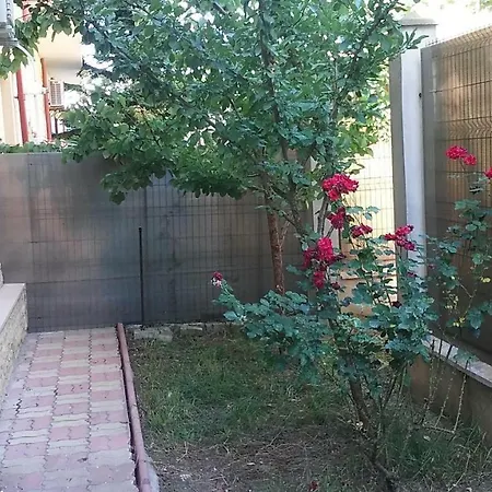 Beach Apartament * קונסטנצה
