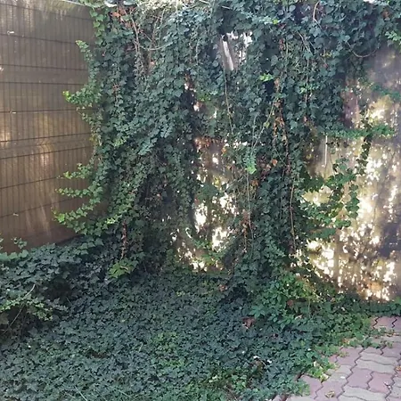 Beach Apartament דירה קונסטנצה